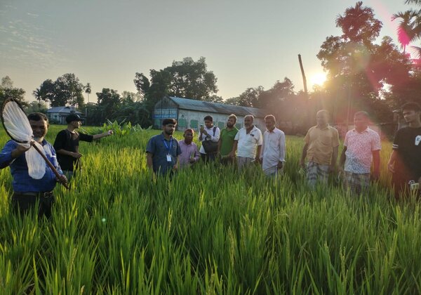 Consultancy Service Firm Hiring for Training Manual, Content and Handb...